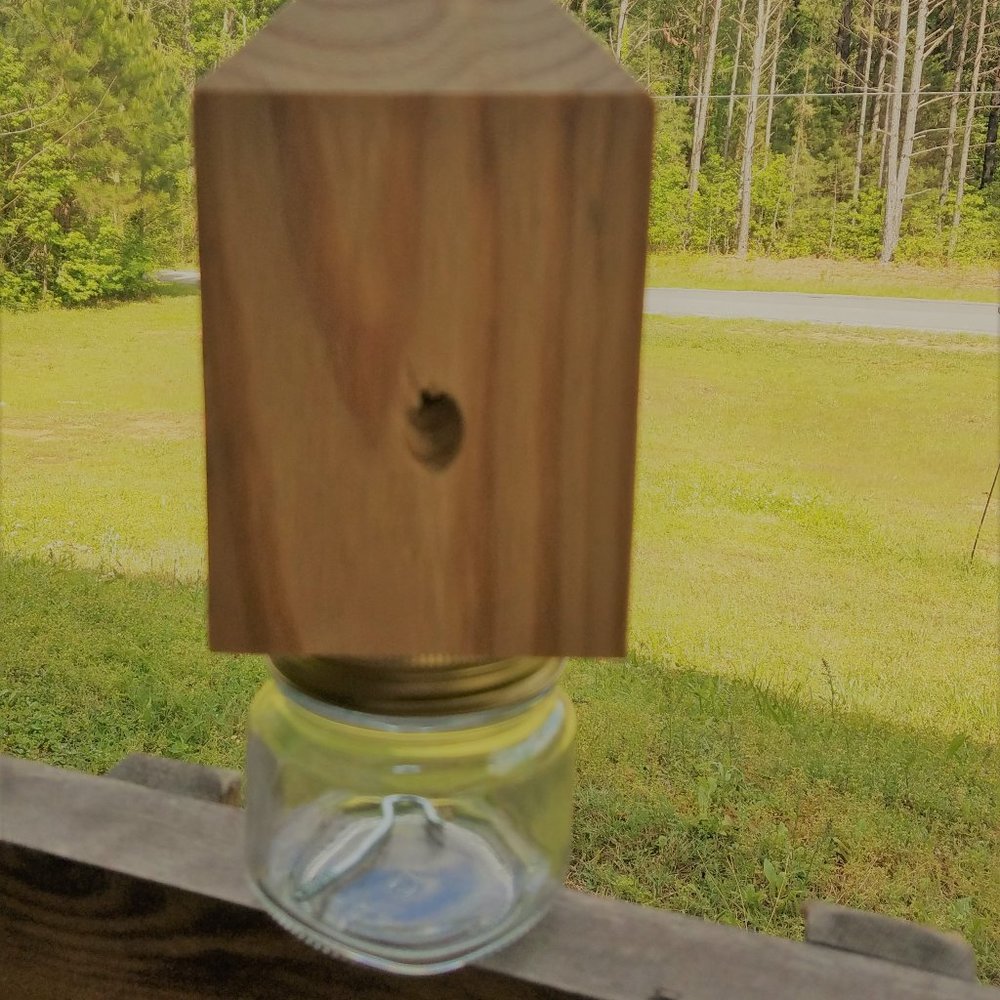 Carpenter Bee Trap